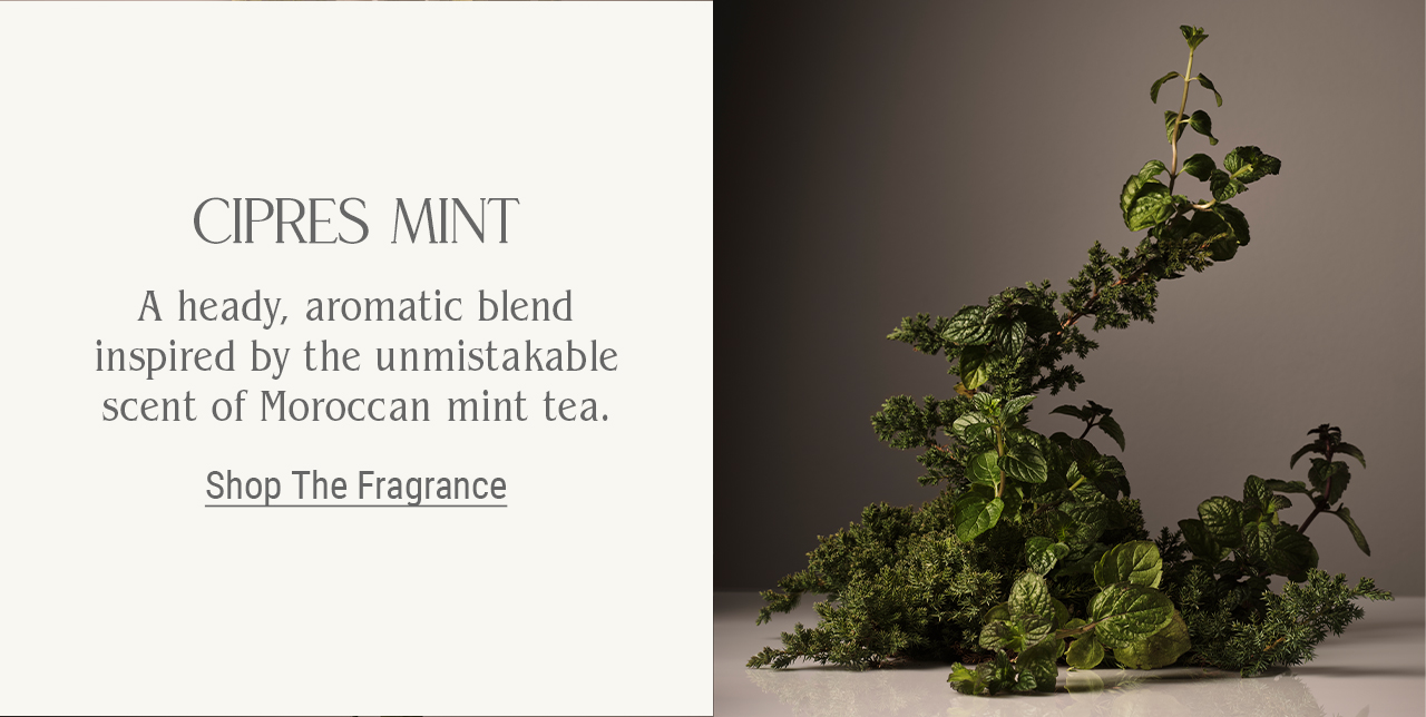 Cipres Mint, An aromatic blend of invigorating green herbs steeped with sugar and a touch of crisp citrus and earthy woods. Inspired by the unmistakable scent of Moroccan mint tea. Shop the fragrance.