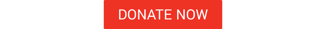 DONATE NOW CTA