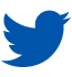 Twitter Icon