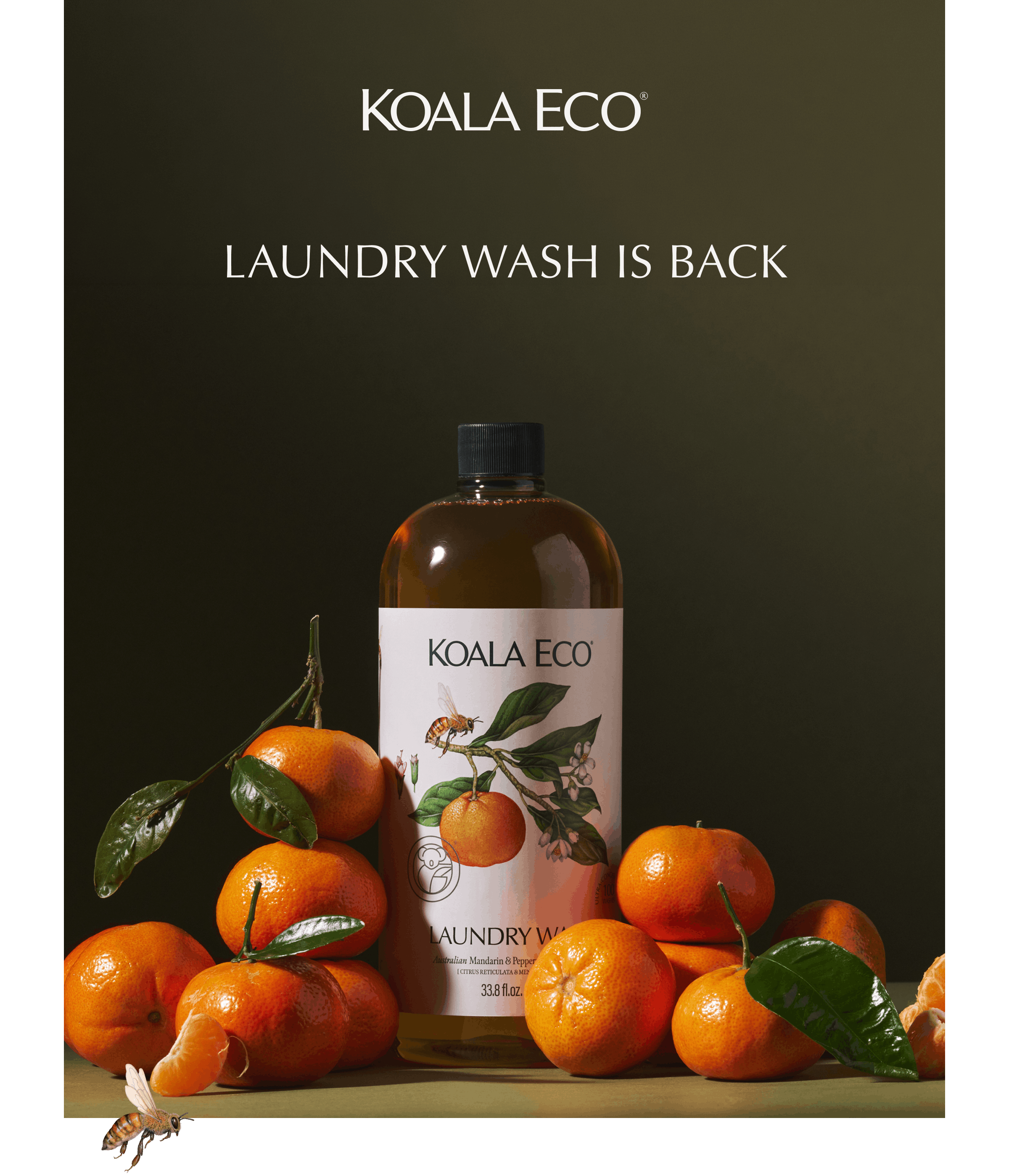KOALA ECO: Laundry Wash is back