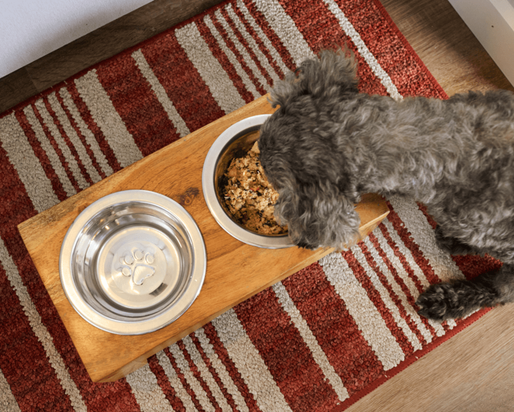 new-studies-from-the-farmers-dog-reveal-hydration-advantages-in-fresh-human-grade-dog-food