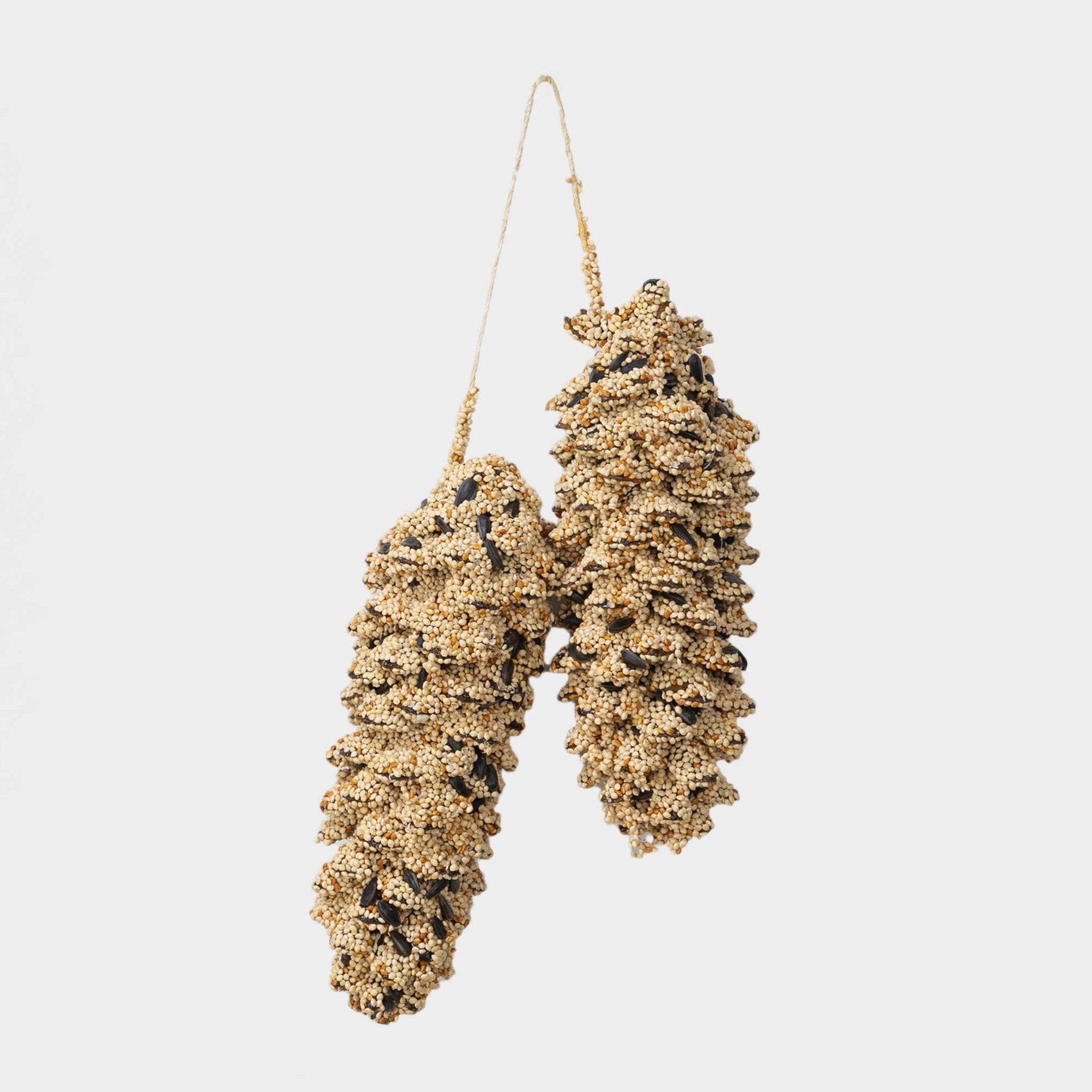 Image of Seed Dipped Pine Cone Pair