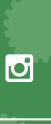 Follow Us on Instagram