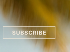 Subscribe