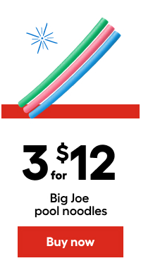 3 for $12  Big Joe pool noodles