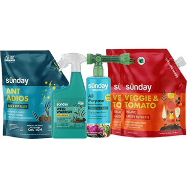Sunday Fertilizer Assortment