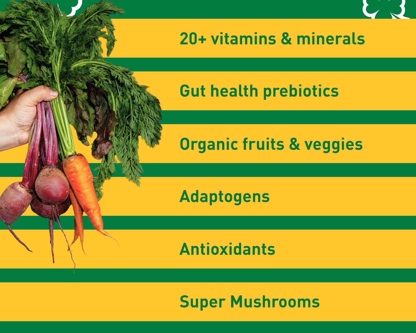 20+ Vitamins & Minerals. Gut Health Prebiotics. Organic Fruits & Veggies. Adaptogens. Antioxidants. Super Mushrooms.