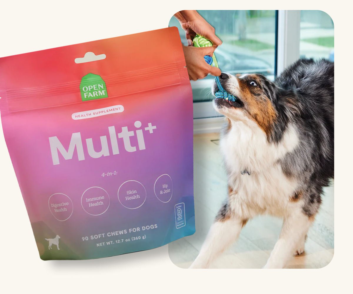 Multi+ 4-in-1 Health Supplement