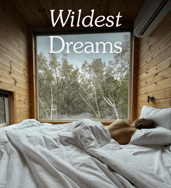Wildest Dreams