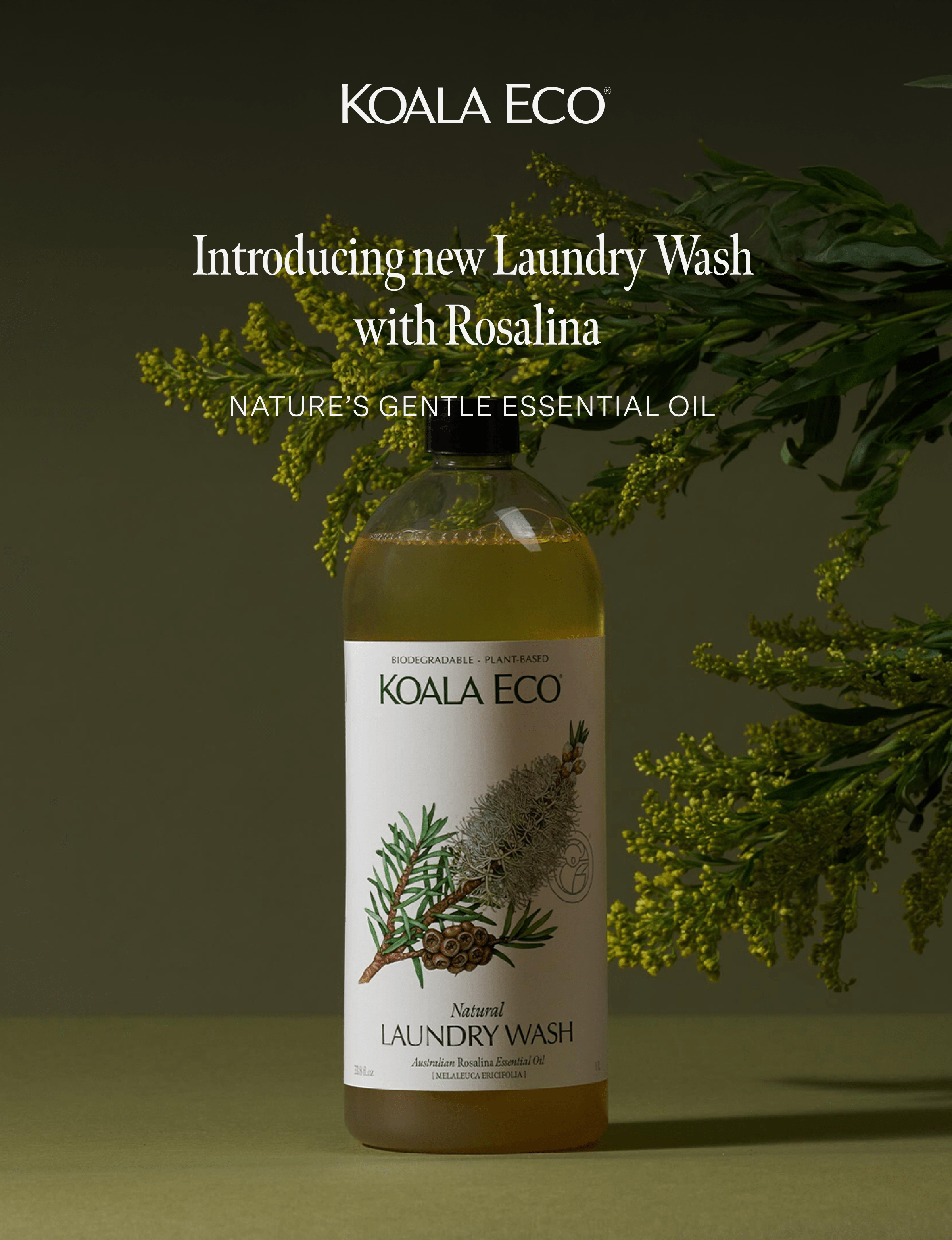 Koala Eco: Introducing new Laundry Wash with Rosalina: Nature’s gentle essential oil