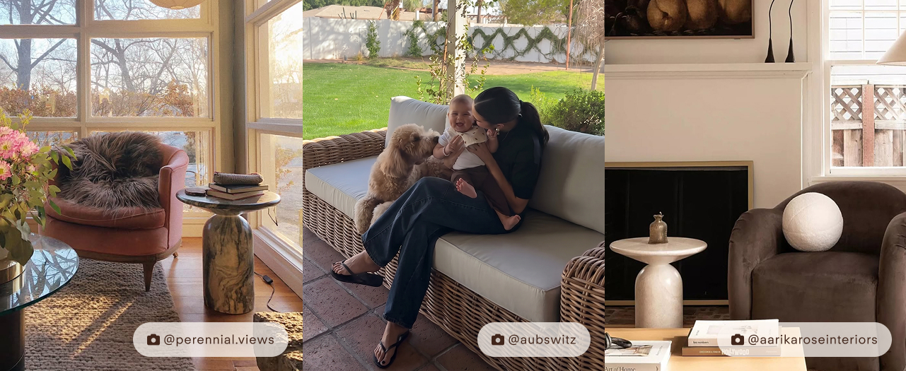 Visit Poly & Bark's Instagram