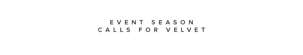 In the Spotlight: Velvet