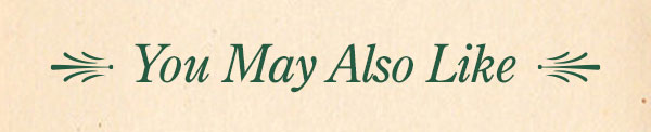 You May Also Like