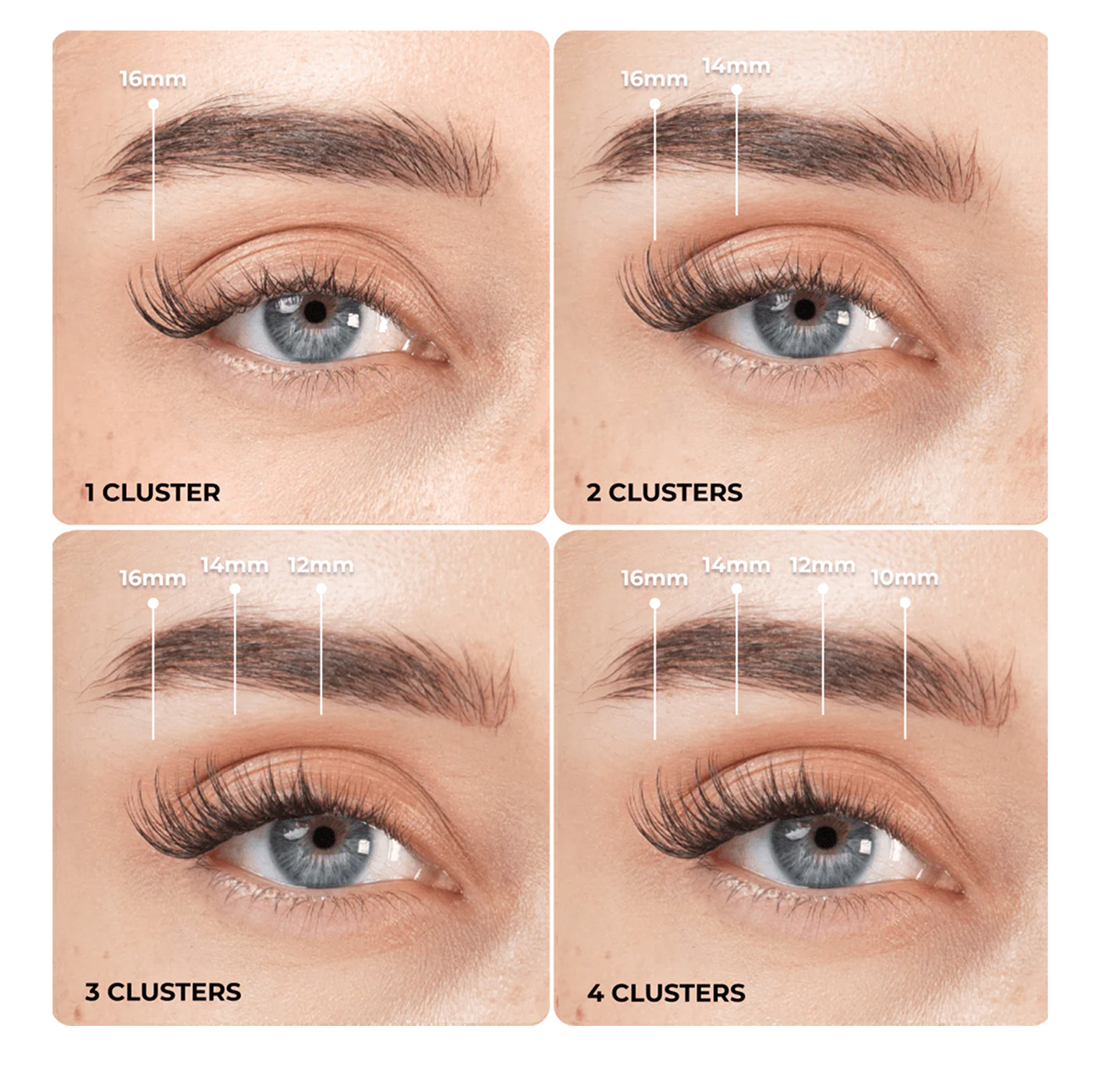 Lash mapping guide showing how to build volume with 1, 2, 3, or 4 Wifey lash clusters using different lengths.