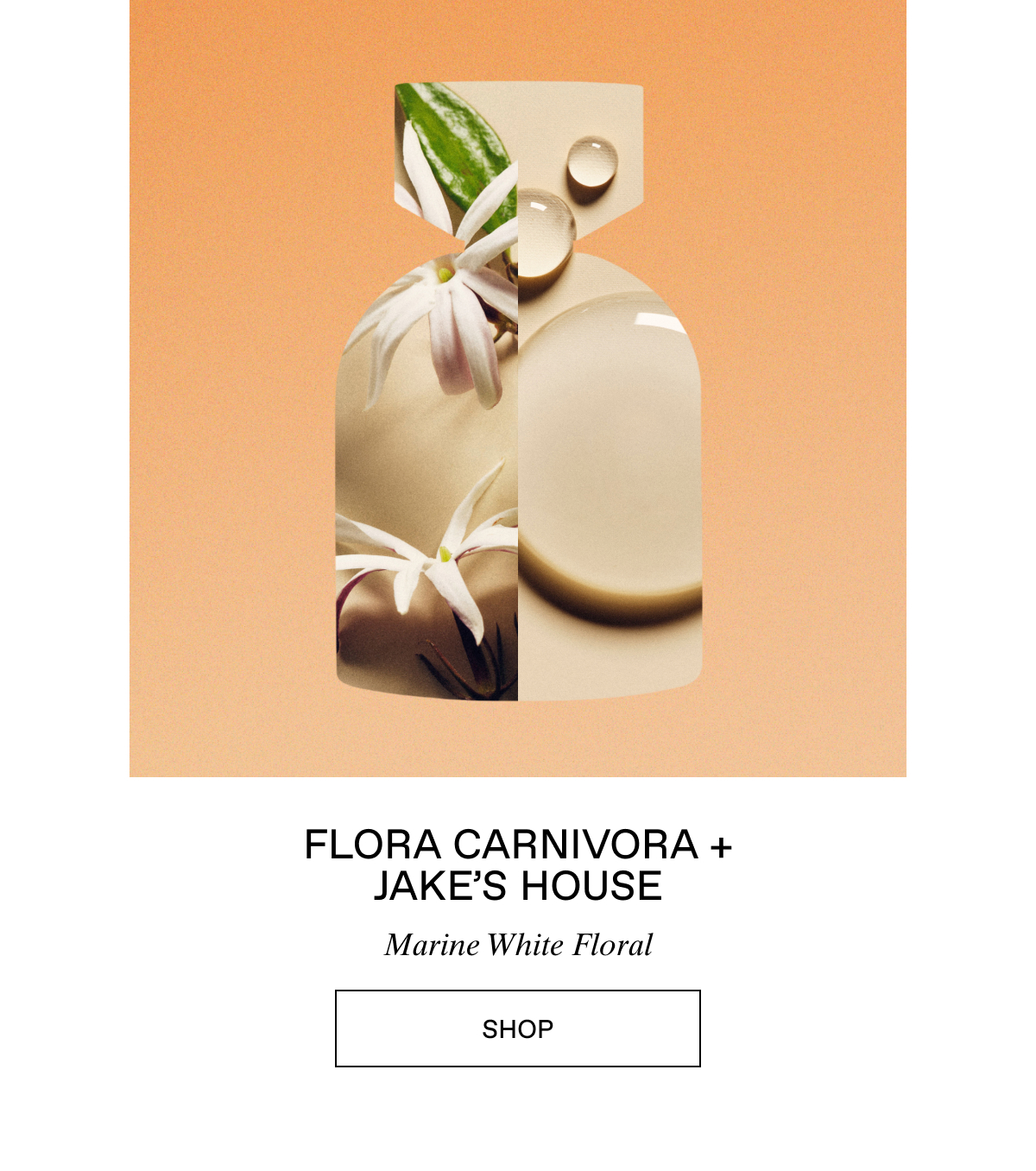 Summer Layers: Flora Carnivora + Jake's House