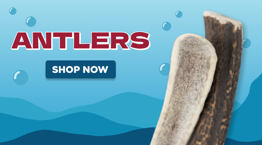 antlers - shop now 