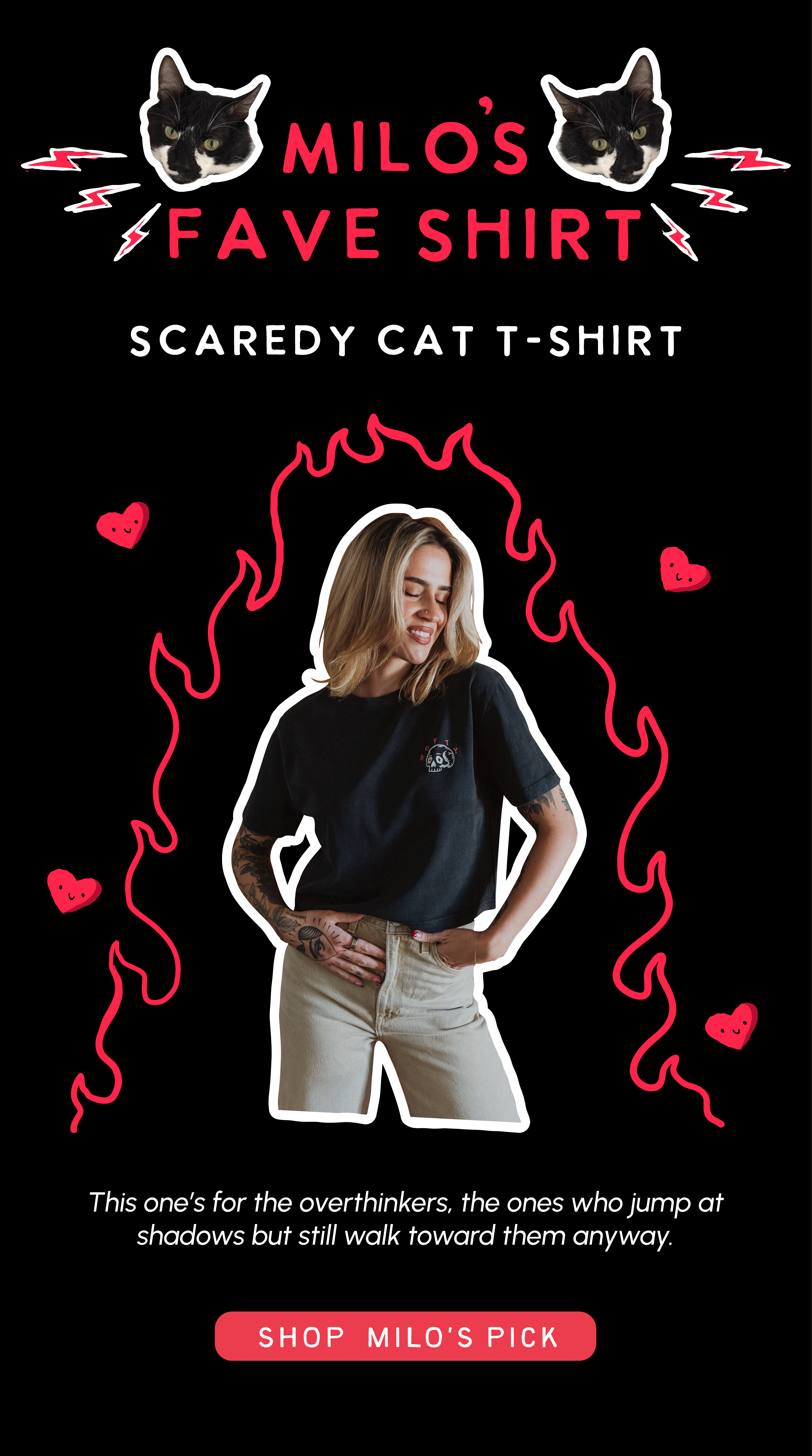 SCAREDY CAT