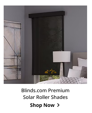 Blinds.com Premium Solar Roller Shades | Shop Now >