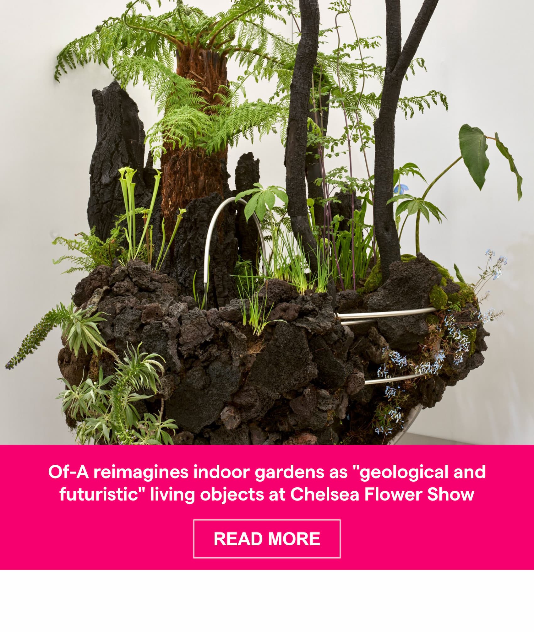 Of-A reimagines indoor gardens as "geological and futuristic" living objects at Chelsea Flower Show