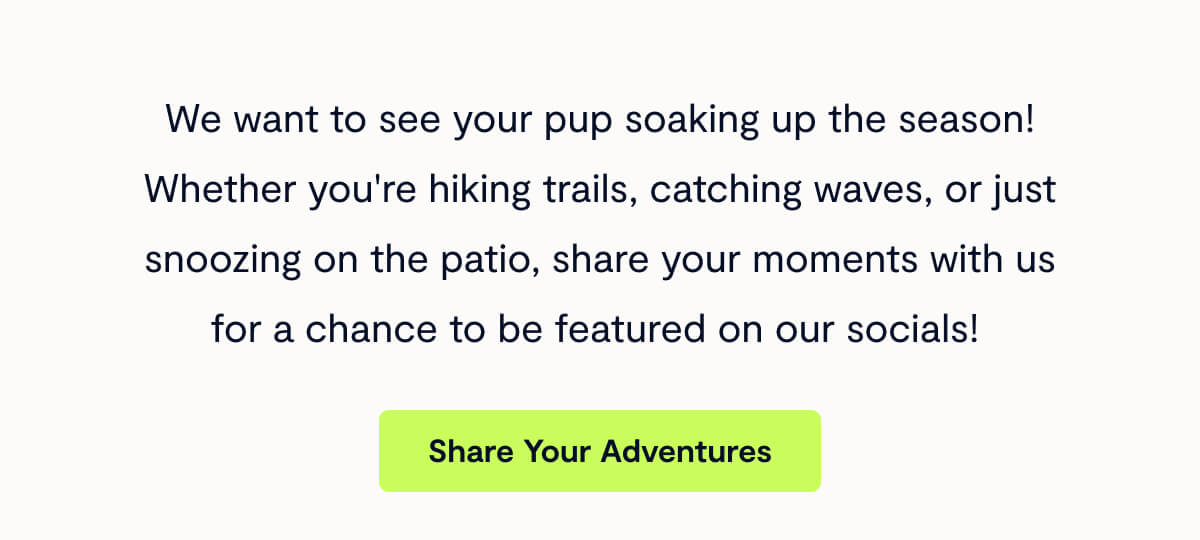 We want to see your pup soaking up the season! Whether you're hiking trails, catching waves, or just snoozing on the patio, share your moments with us for a chance to be featured on our socials!&nbsp;