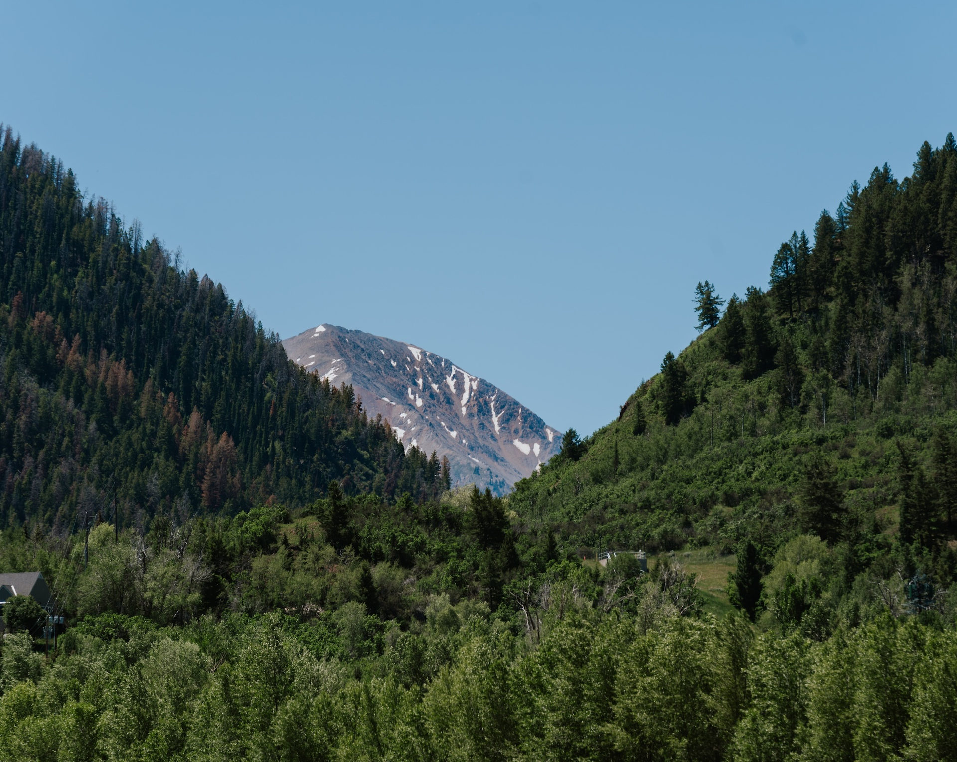 Bike or drive up Independence Pass
