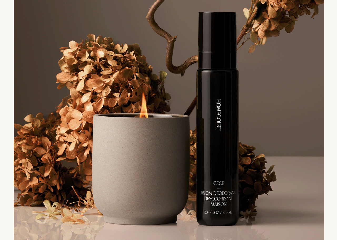 30% OFF THE AIRCARE DUO