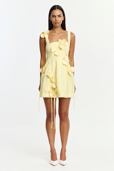 REEVE MINI DRESS