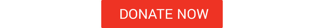 DONATE NOW CTA