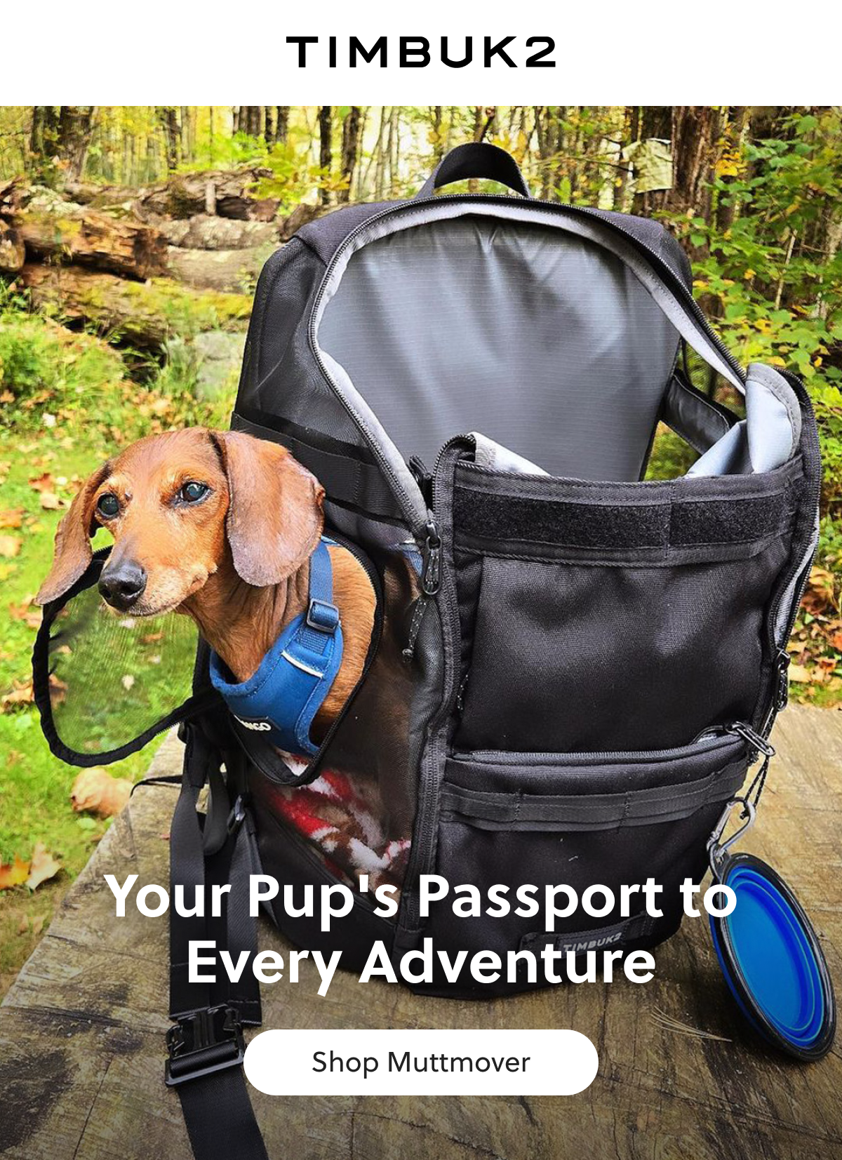 Your Pup's Passport to Every Adventure Shop Muttmover
