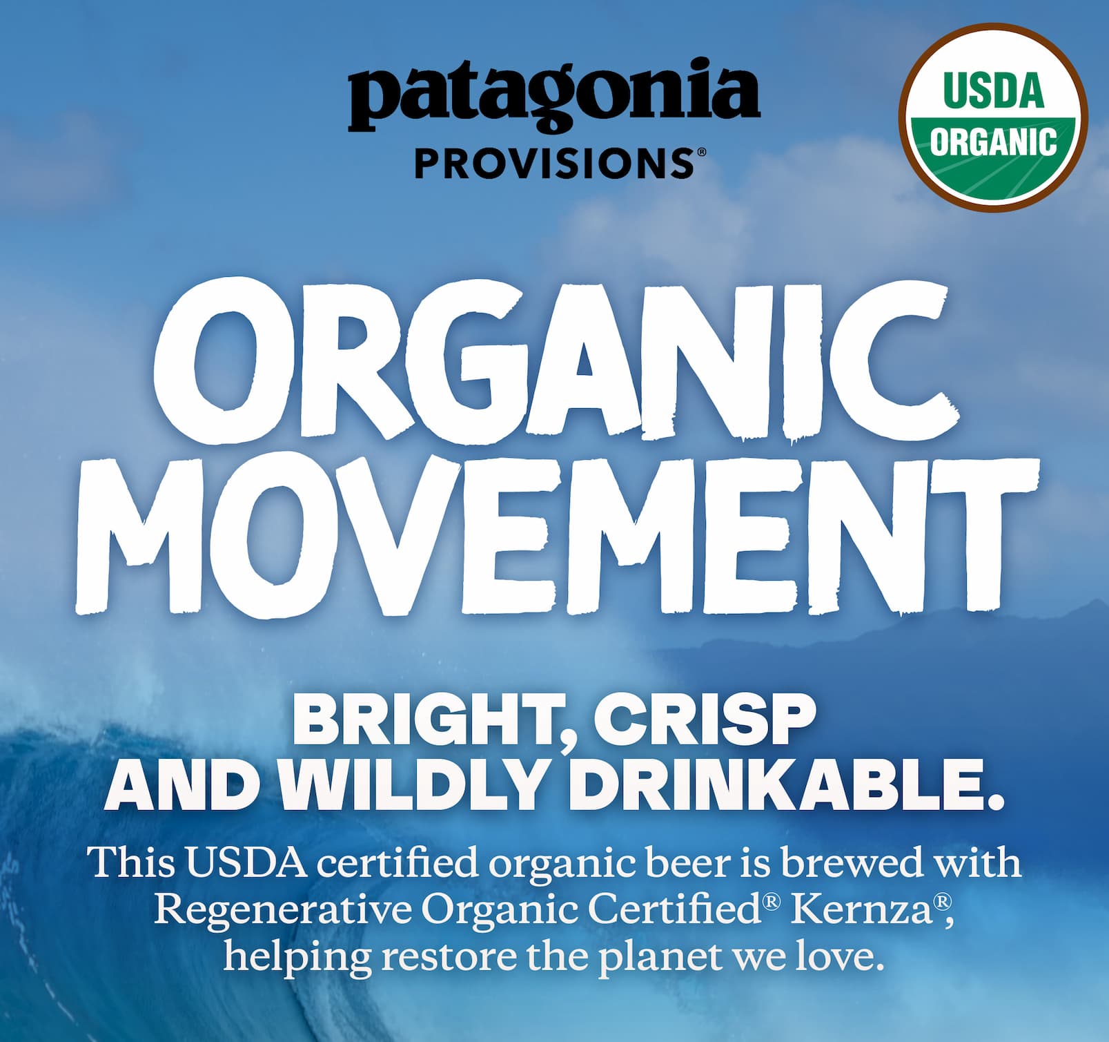 Image of a surf wave that says, "Organic Movement" with additional details about Patagonia Provisions partnership