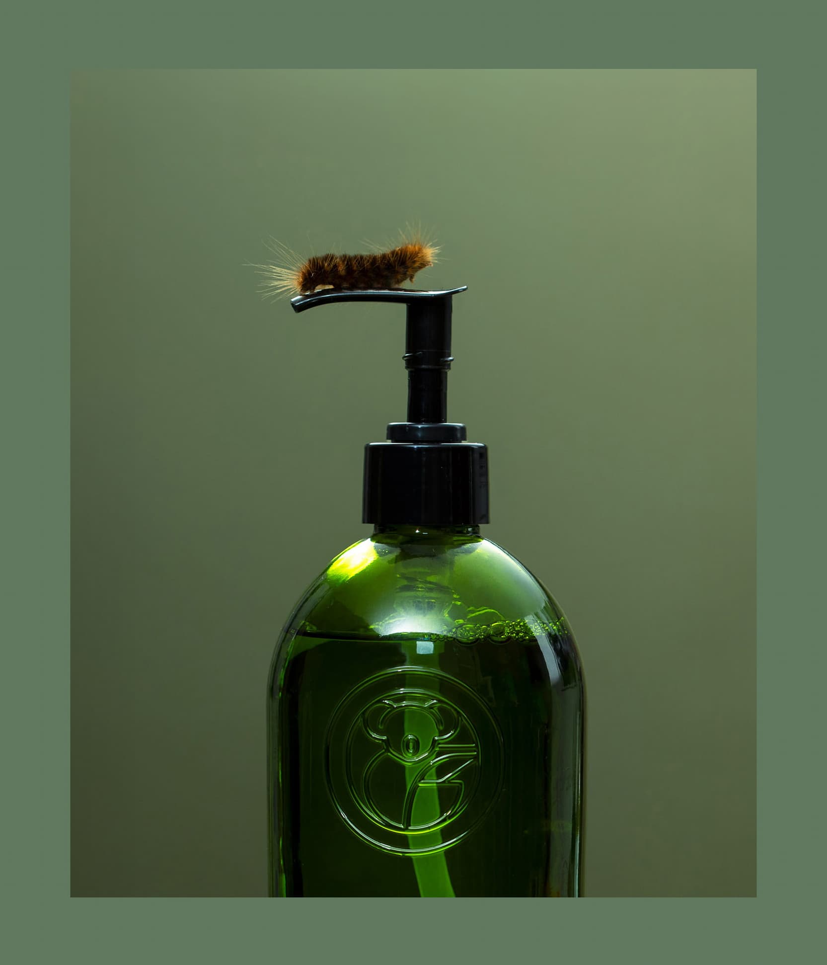 KOALA ECO