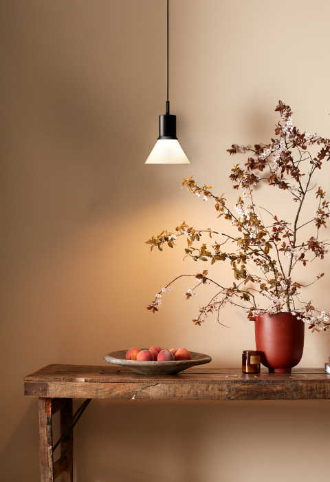 Anglepoise. Save up to 30%