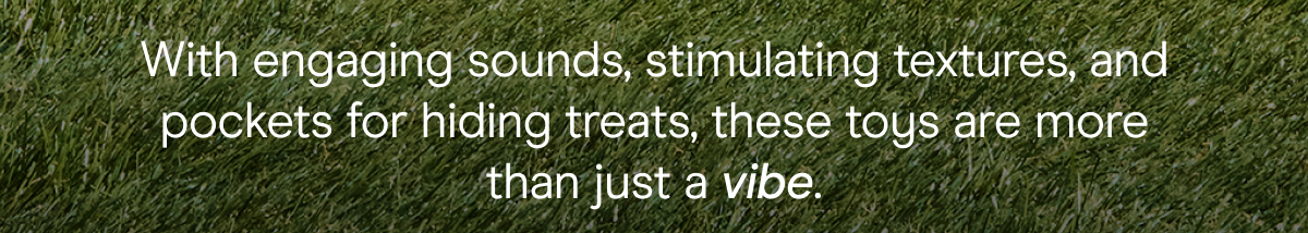 with engaging sounds, stimulating textures, and pockets for hiding treats, these toys are more than just a vibe.