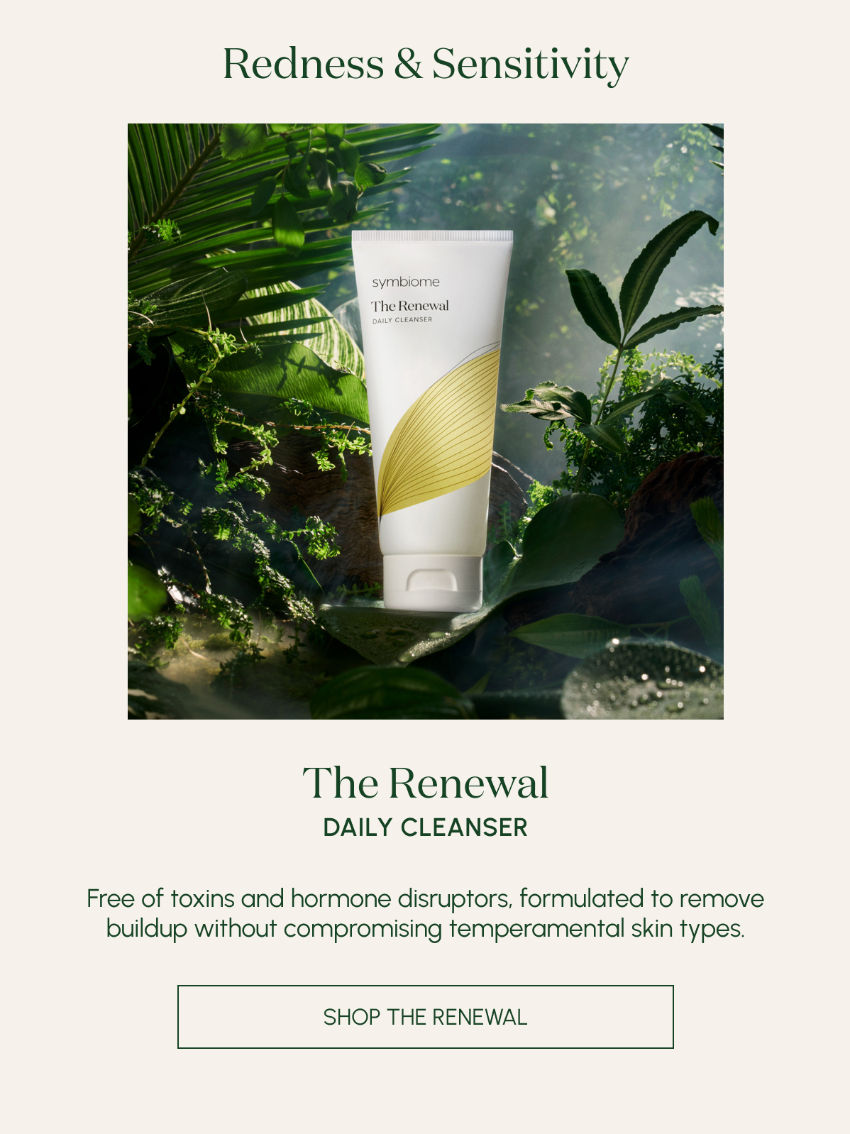 Shop The Renewal