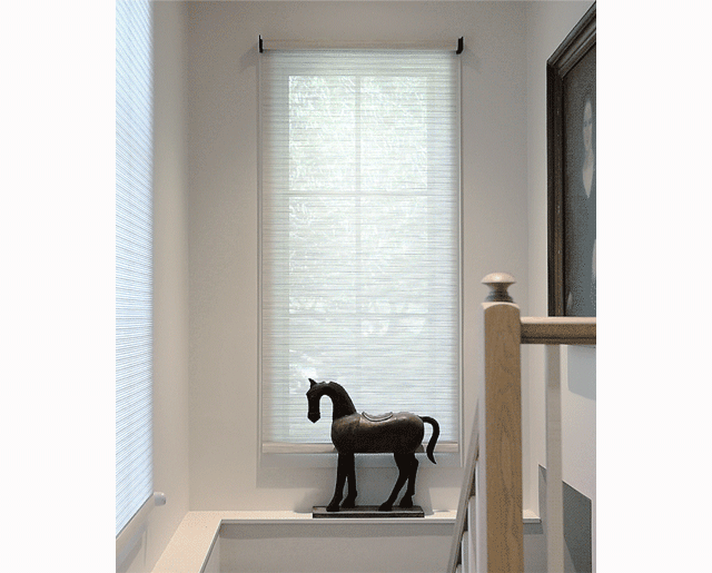 Explore Motorization