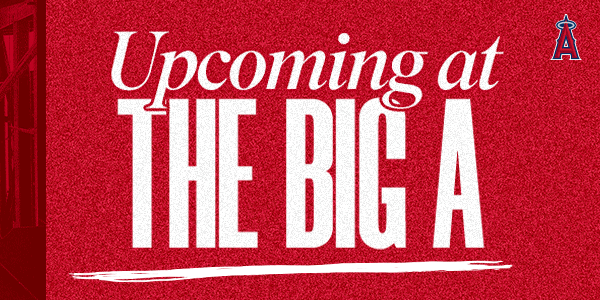 Upcoming at the Big A