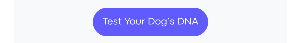 Test Your Dog's DNA