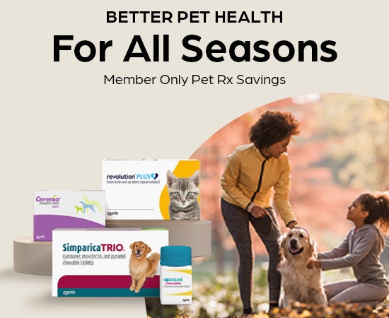 Exclusive Rx Savings for Members