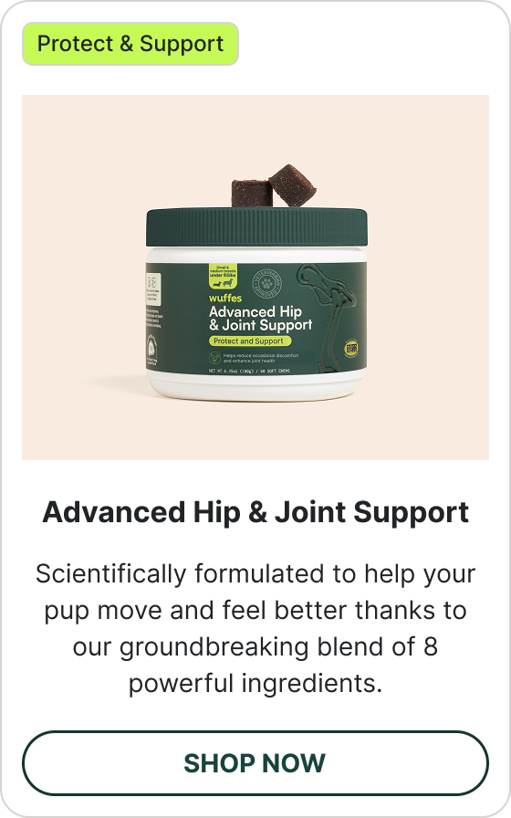 Shop Advanced Joint Chews