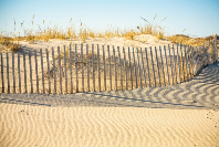 Hamptons Summer Season