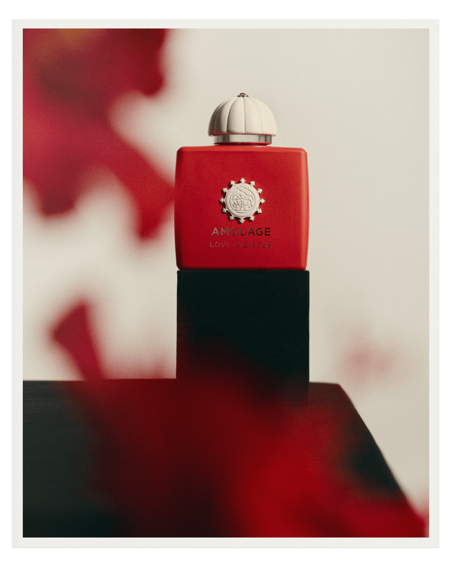 Love Hibiscus