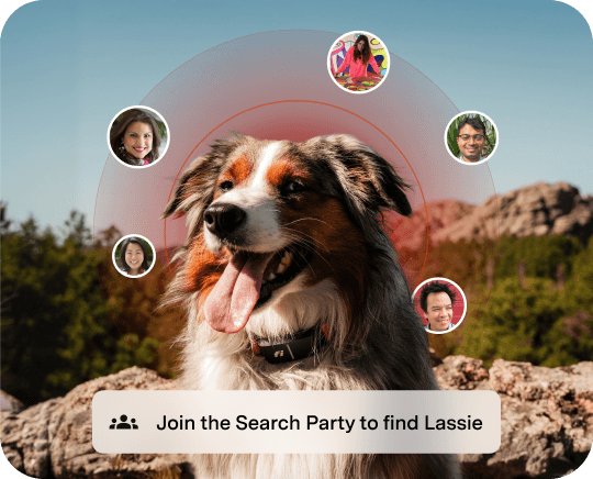 Fi Search Party feature
