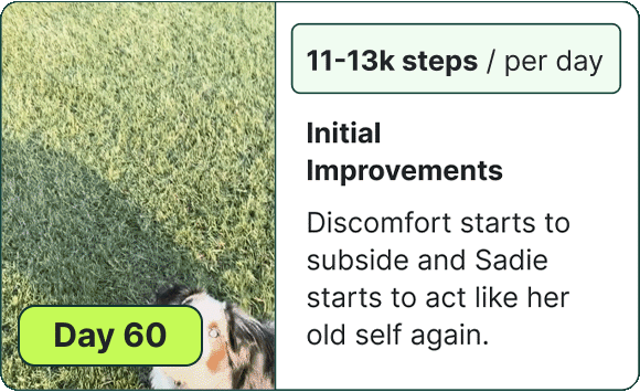 Initial Improvements