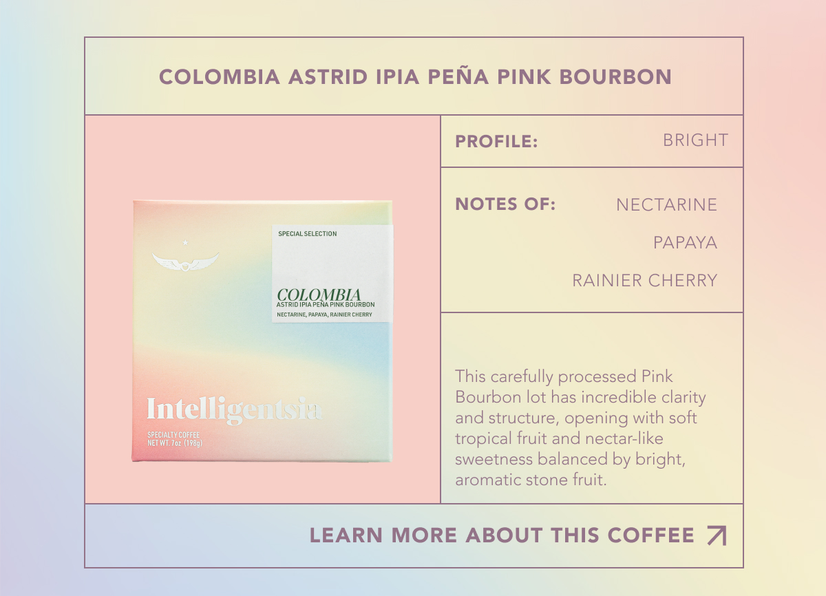 Colombia Astrid Peña Pink Bourbon. Profile: Bright. Notes of: Nectarine, papaya, rainier cherry. This carefully processed Pink Bourbon lot has incredible clarity and structure, opening with soft tropical fruit and nectar-like sweetness balanced by bright, aromatic stone fruit. | LEARN MORE ABOUT THIS COFFEE 