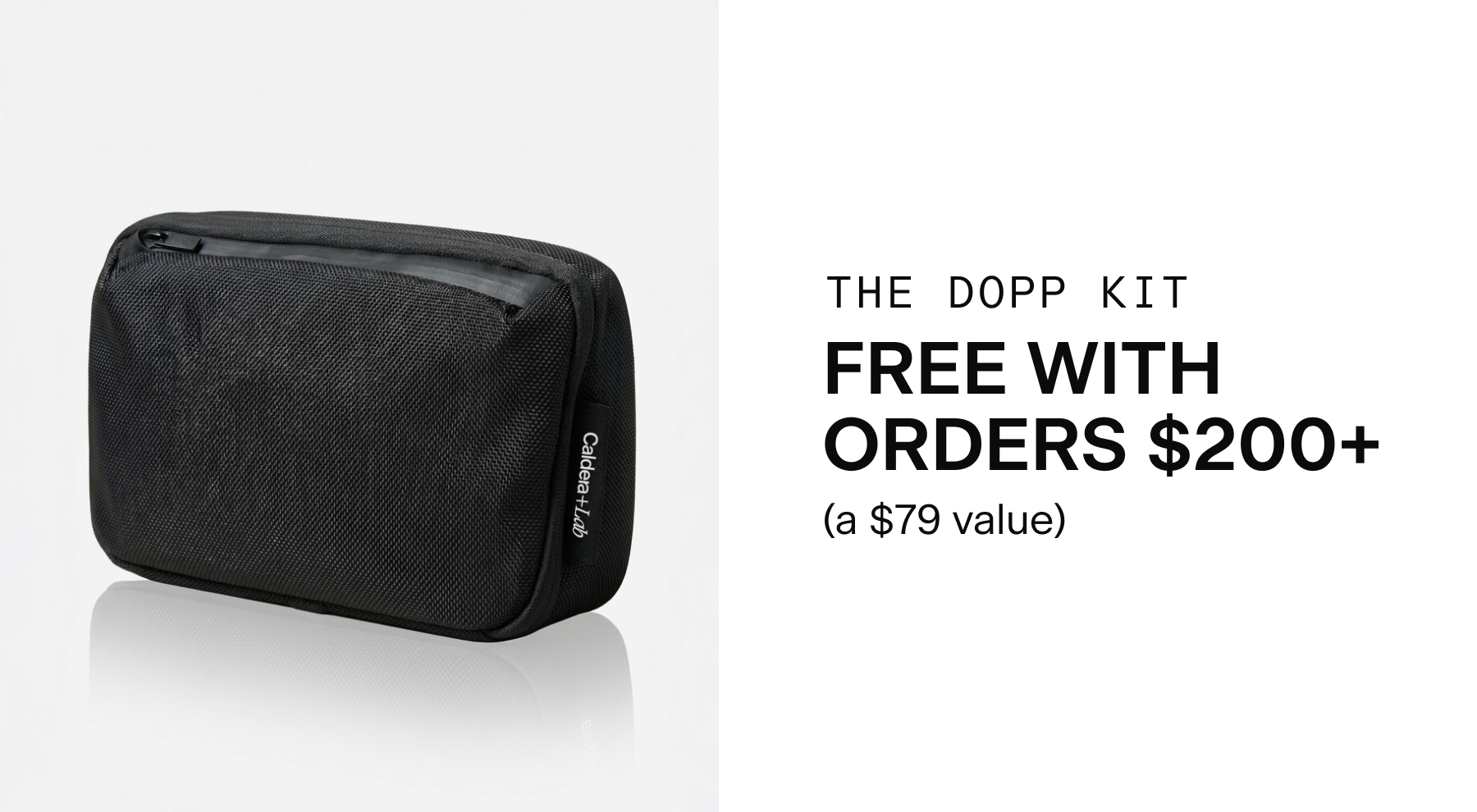 THE DOPP KIT - FREE WITH ORDERS $200+ (a $79 value)