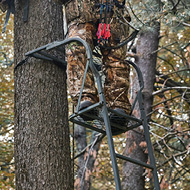 Tree Stands