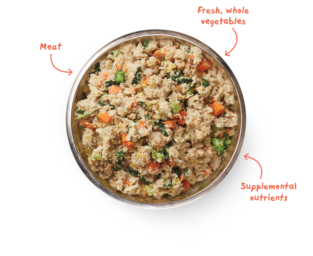 A bowl of fresh pet food with labels for 'Meat', 'Fresh, whole vegetables', and 'Supplemental nutrients'