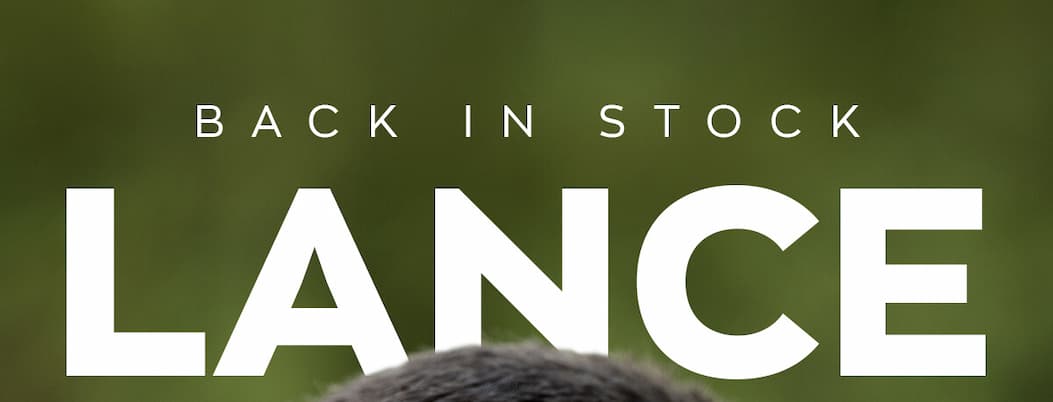 Back in Stock Lance