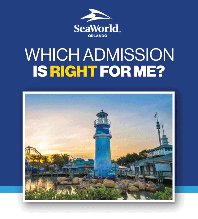 Plan Your Visit