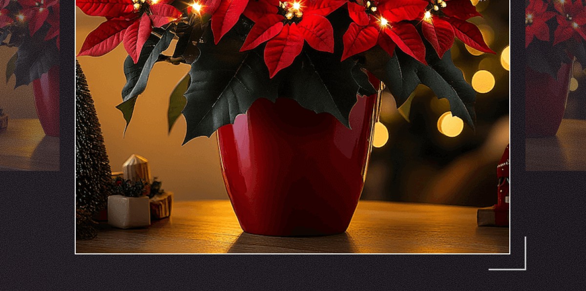 Warm your space with vibrant red petals that bring festive warmth day or night.